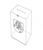 Balsadėžė iš organinio stiklo matinė