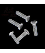 Organinio stiklo varžtas 4x25 mm