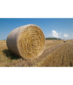 Tinklas AGROSTAR Net (1230 mm x 2000 m)