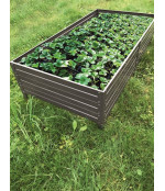 Pakelta lysvė KLASIKA GARDEN 1500x750x300 mm ruda