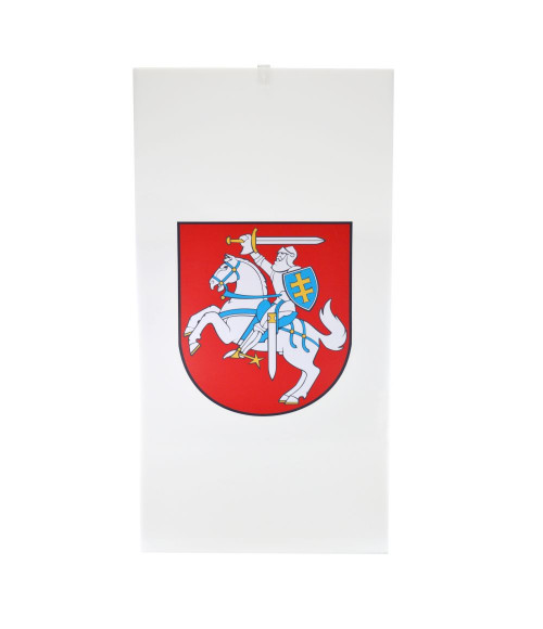 Matinė balsadėžė su užraktu įvairių dydžių