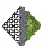 Juodas žolės, vejos korys