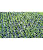 Guminis sujungiamas kilimėlis 22x1000x1500 mm